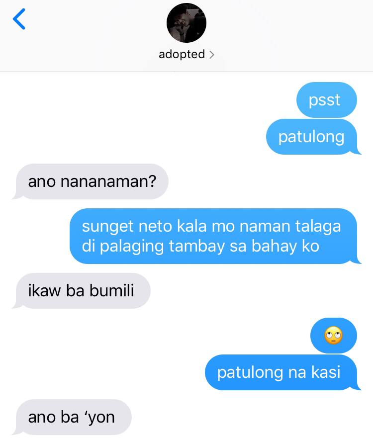 Bee On Twitter 3 Https T Co Uo2qosd7mk Twitter