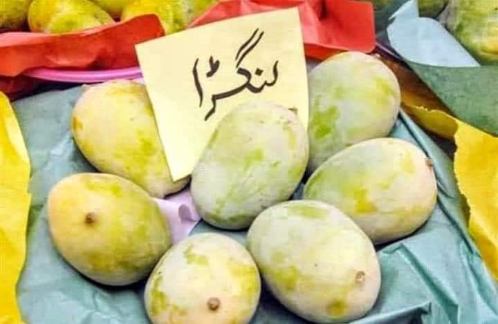 Nafeeskhattak07's tweet photo. کہیں نظر نہیں آ رھا دور دور تک
غیر سیاسی پوسٹ https://t.co/G6Zfw5Kxsr
