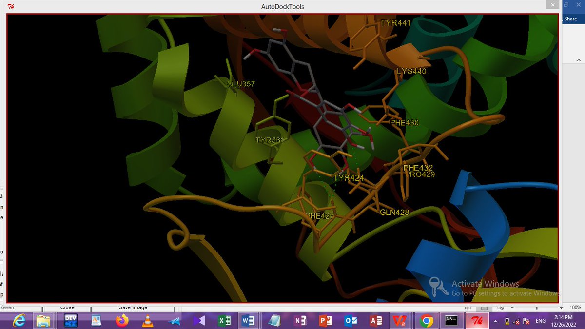 adam_liman2's tweet photo. My finding on breast cancer📝🇳🇬
#Drugdesign #molecularmodelling #BioNTech #Bioinformatics #Biotechnology #pdb #cancer #breastcancer https://t.co/Fxn2WcdKc9