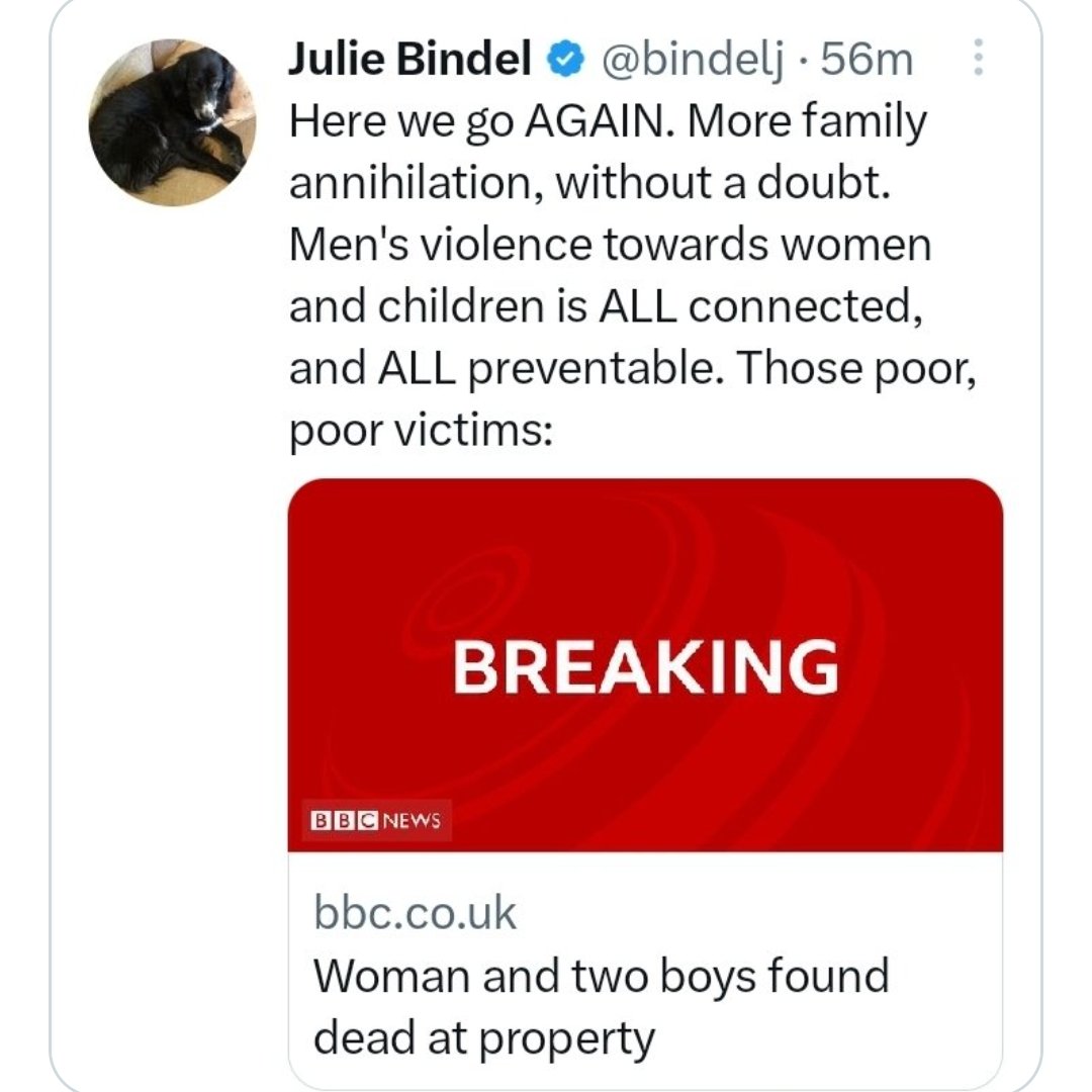 Julie Bindel posts about the woman who killed two children and then herself, before the facts had been reported.