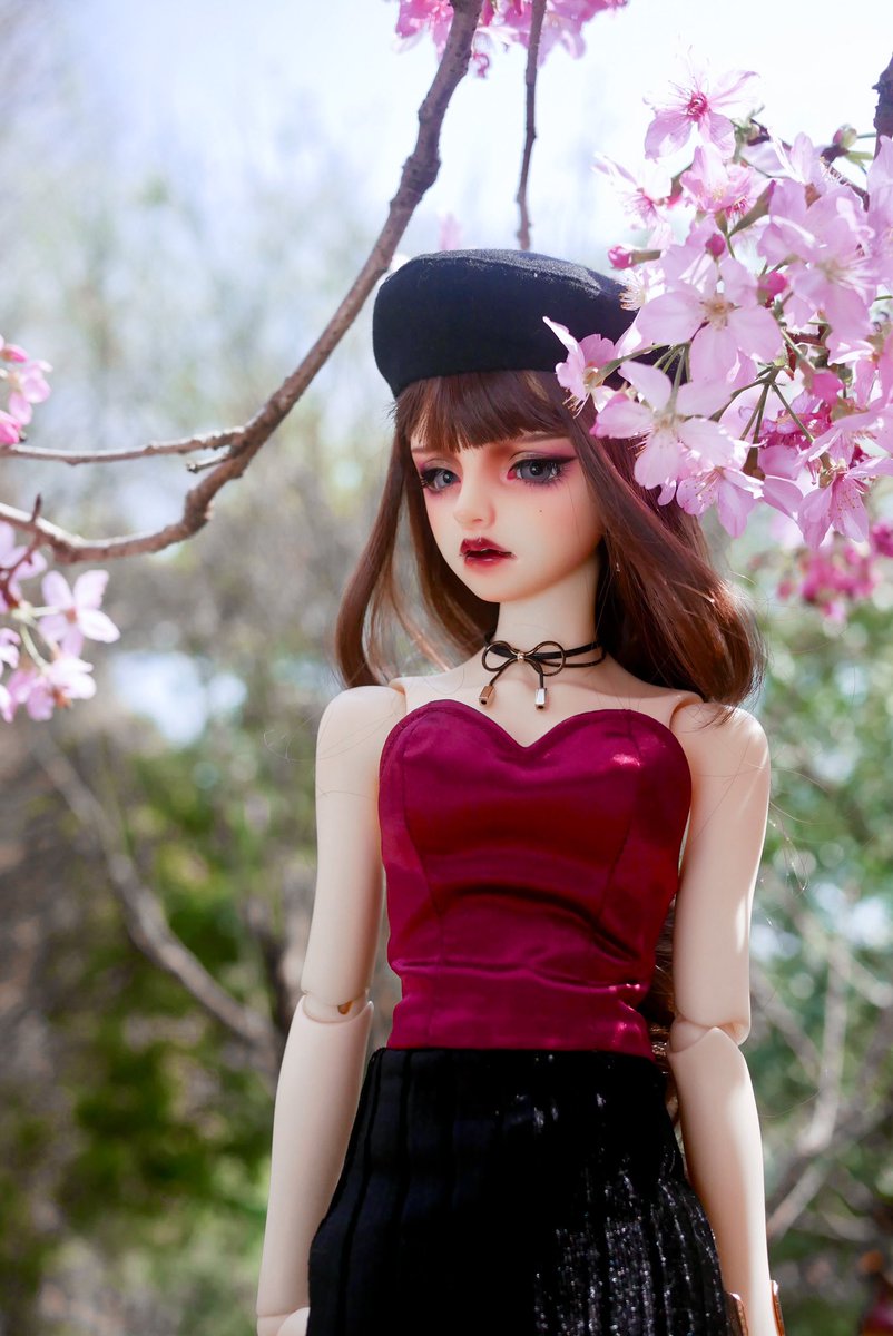 tincture2019's tweet photo. 🌸🌸🌸 https://t.co/rO08HcSFeq