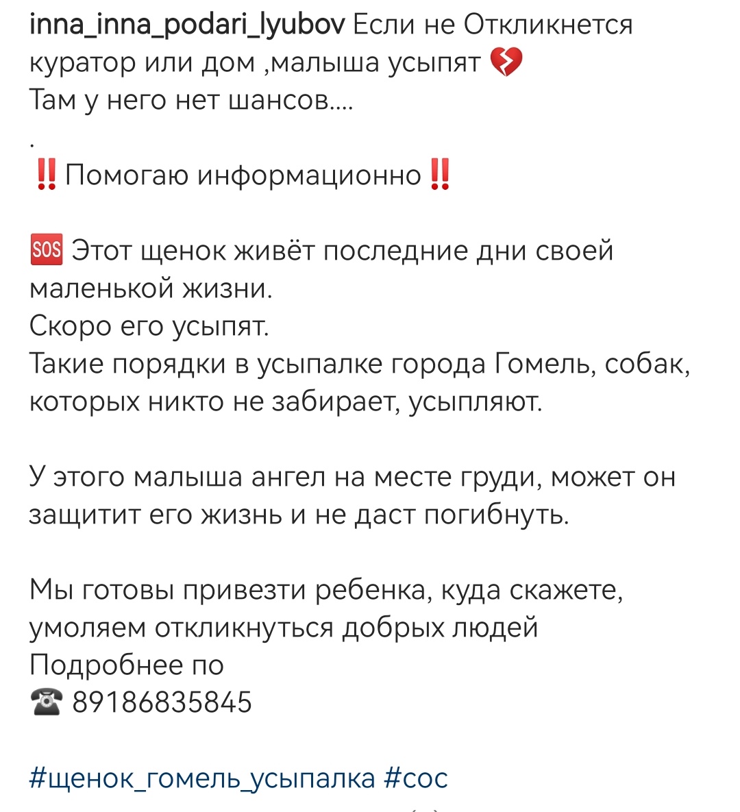 лизон (@na_hrena) / X