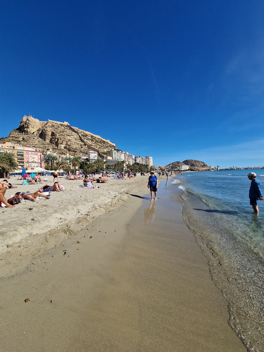 Victoria Pertusa tweet media