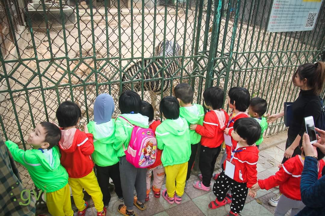 GVIVietnam's tweet photo. Rainbow kids visited Hanoi Zoo and had lunch with teachers and housemom.

This is a precious occasion for students to observe and feed real animals which they have been taught. Teachers will ask about what they saw in the next lesson. https://t.co/ani4uRLSCs