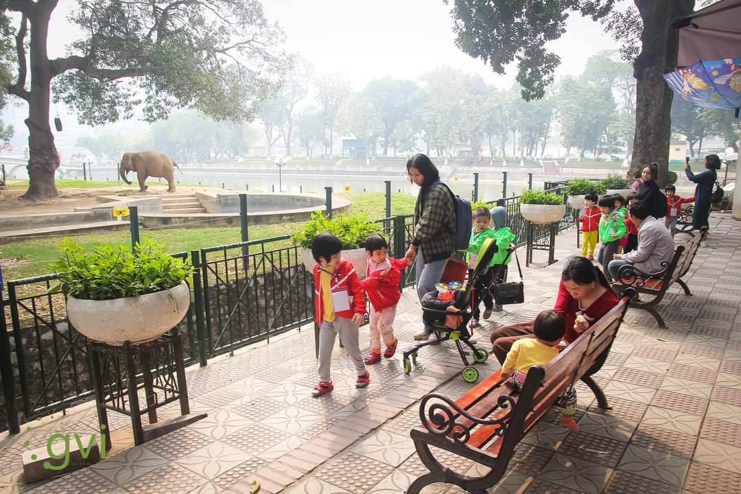 Rainbow kids visited Hanoi Zoo and had lunch with teachers and housemom.

This is a precious occasion for students to observe and feed real animals which they have been taught. Teachers will ask about what they saw in the next lesson.