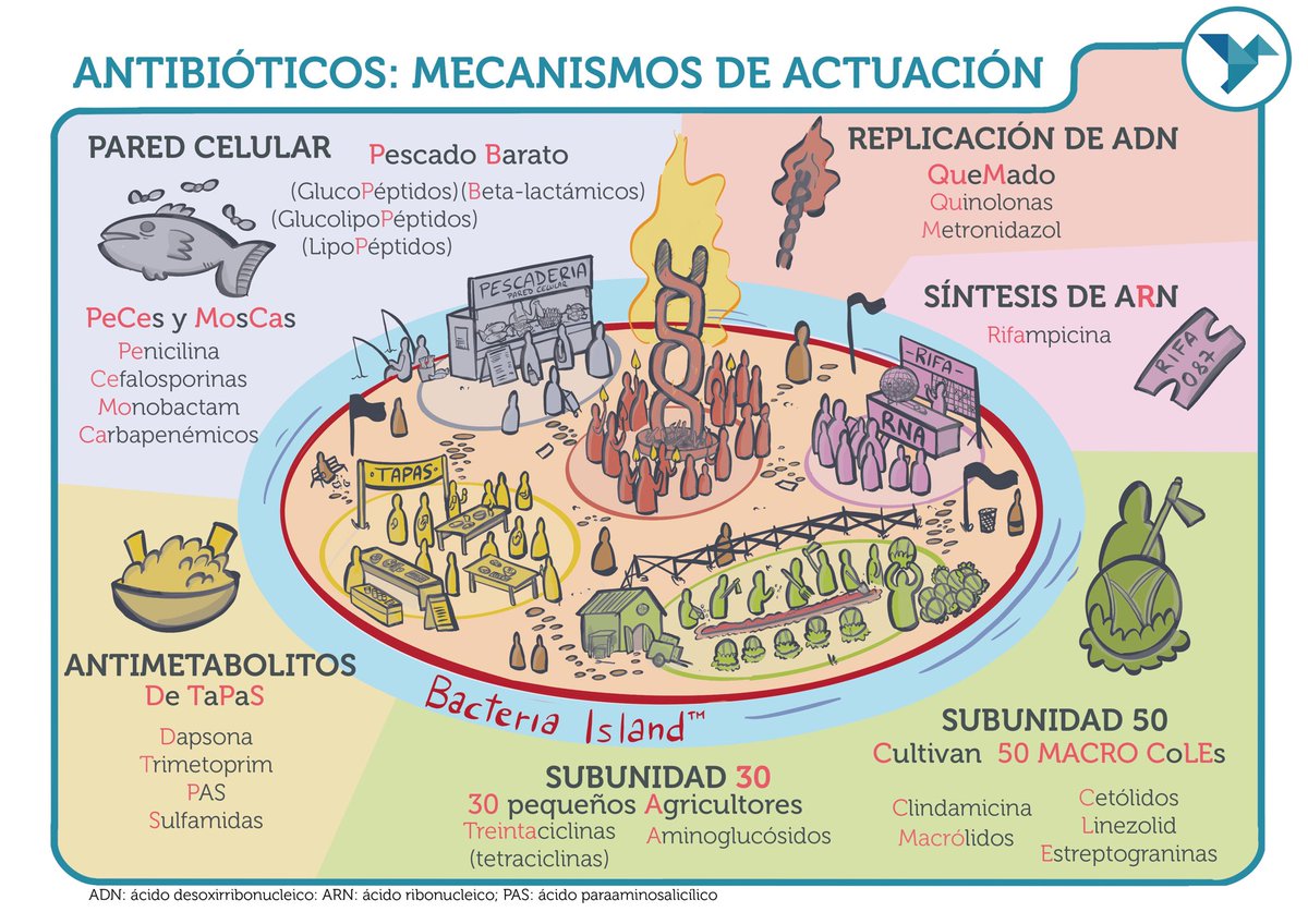 PROMIR_esp's tweet photo. Bienvenidos a la Bacteria Island de @yodoctorcomic 🏝 No se permiten virus 😷
Ahora con los gastos de envío GRATIS 🔗 https://t.co/Y1szF22nYm
#PROMIR #PromirTeAyuda #RepasaConPromir #examenMIR #2MIR24 #MIR2024 #2MIR25 #MIR2025 #MIR #HumorMédico https://t.co/rZpN90tIo8