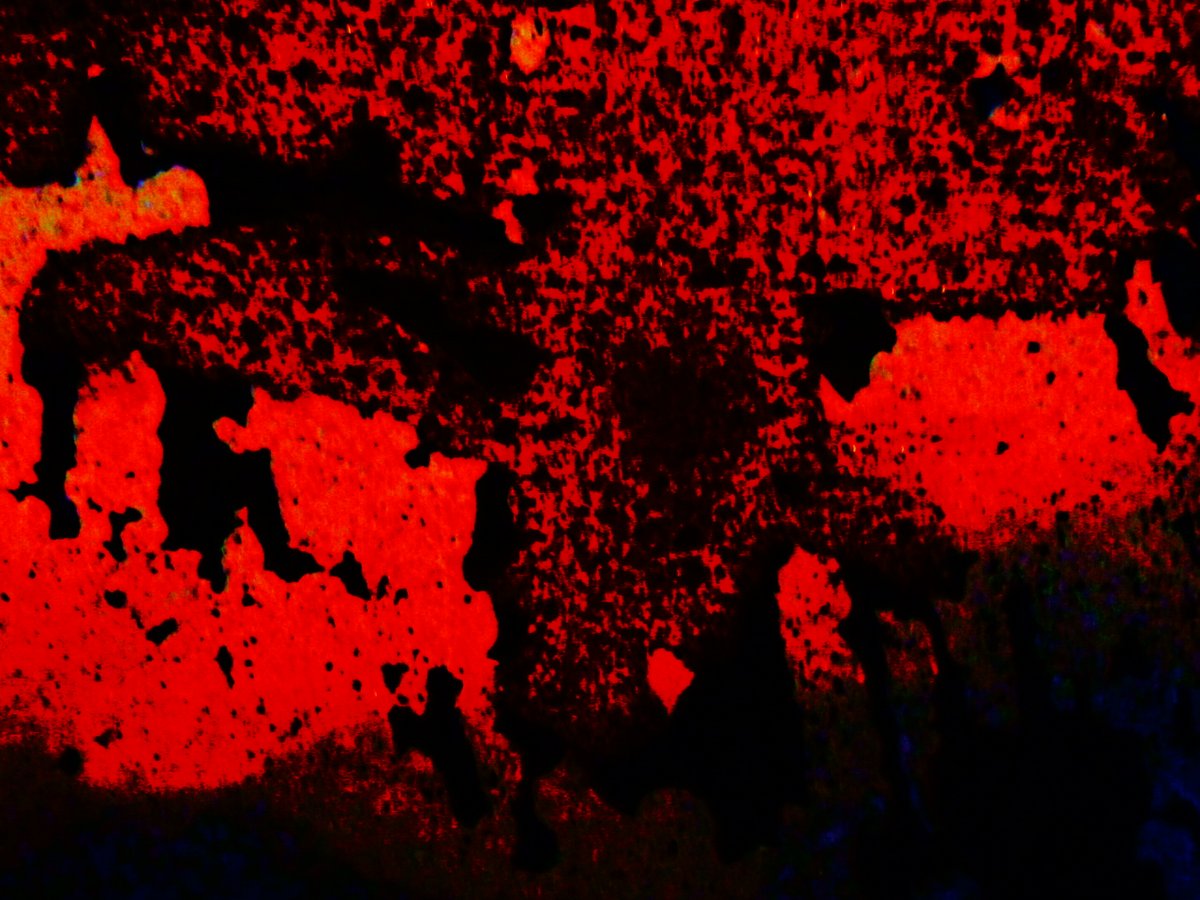 Civilisation? Call it democracy (the fools of rule). Call it totalitarianism (the rule of fools). Call it hegemony (the rule of rules). However, whatever we might like to call it, it remains an unbridled barbarism. Civilisation? Pass the sugar.