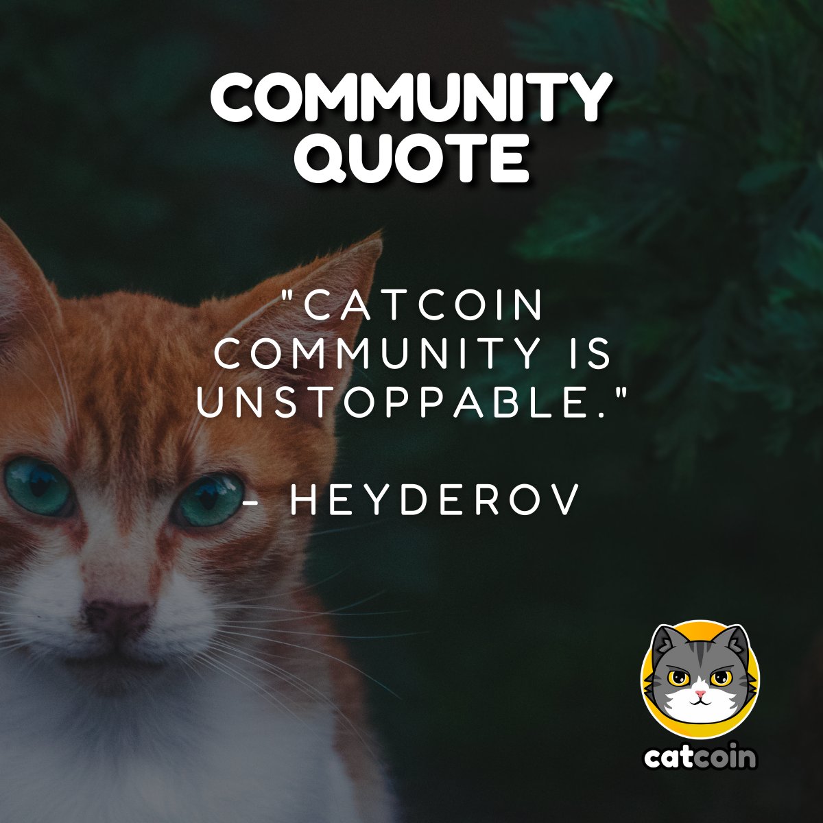 officialcatcoin's tweet image. Yes we are! 

#Catcoin #CatcoinArmy