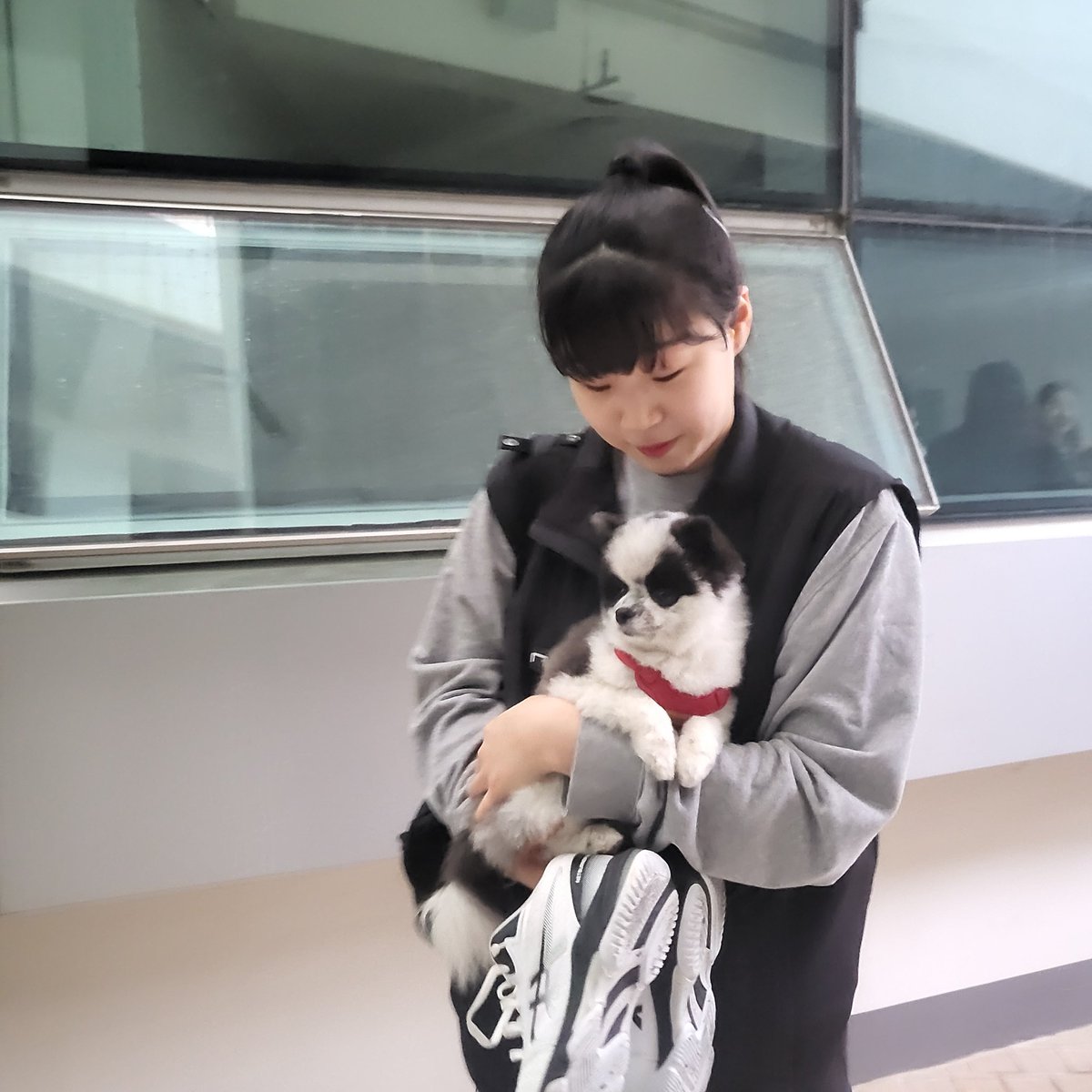 huf__f's tweet photo. 아기 오리 이현주와 강아지를 보장하라 https://t.co/PReroLUaY0