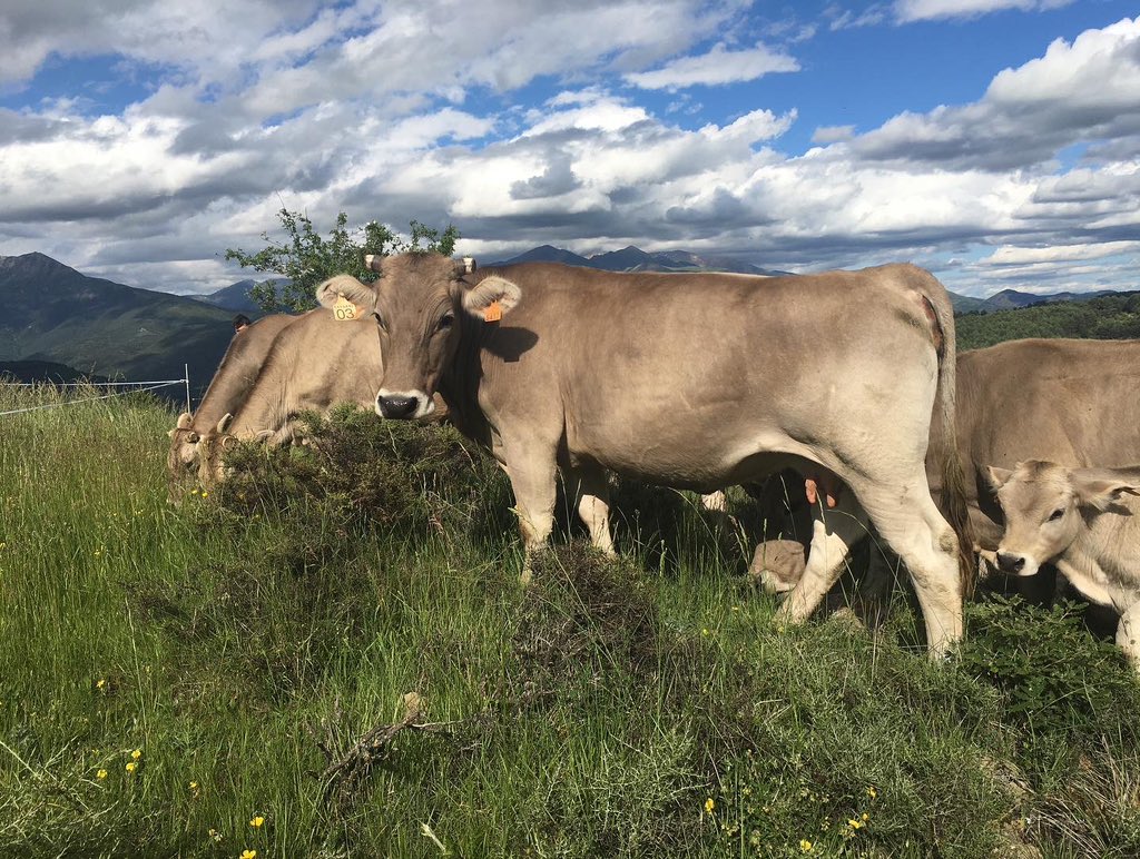 Tic, tac… Ya no queda nada. Volvemos esta Semana Santa.  Experiencias únicas y relax asegurado entre montañas