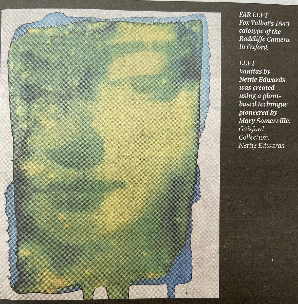 lumilyon's tweet image. One of my #anthotypes illustrates today’s @ObserverUK article about early photographic pioneers INCLUDING Mary Sommerville’s ground breaking work with plant matter 🌱🌱🌱 #anthotypes #alternativeprocesses #bioart #marysommerville @bodleianlibraries