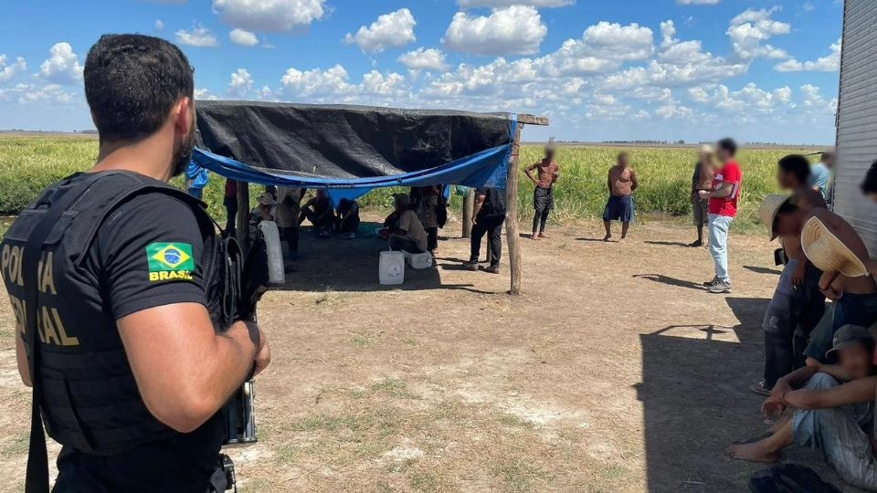 revistaforum's tweet photo. 🚨TRABALHO ESCRAVO

56 trabalhadores resgatados em lavoura de arroz no RS; 10 são menores de idade

Saiba mais: https://t.co/L3clRCWqSW https://t.co/KhBEzGPQ0v