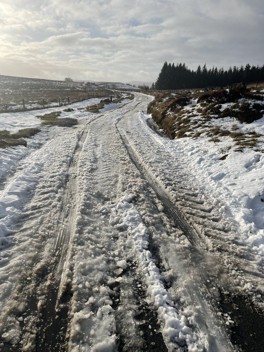 Faction Chamois Cream tweet media