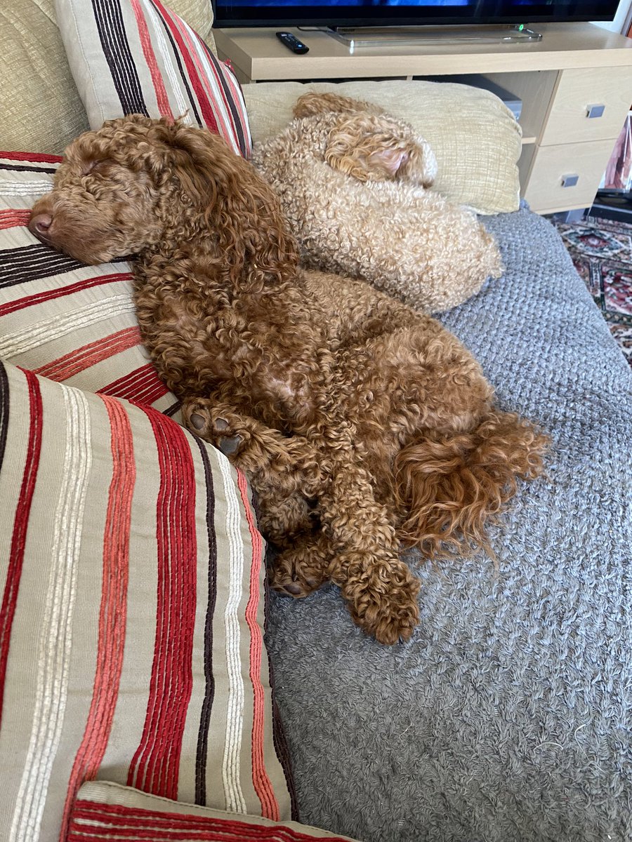 Swampducksmum's tweet photo. That Sunday morning feeling ❤️ https://t.co/pawPLpeNHy