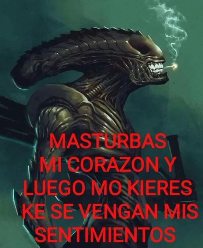 pelirrojohungry's tweet photo. https://t.co/1ZKSJL84Rk