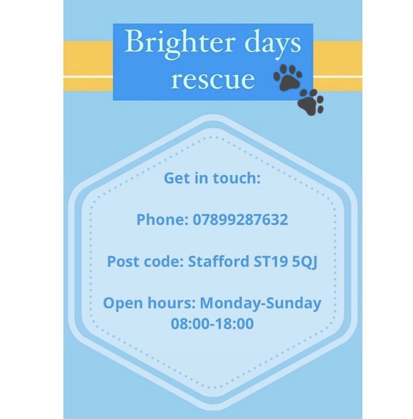 Our gorgeous girl Kali is still looking for her forever home. Please get in contact if you think you’re the family for her 🥰❤️