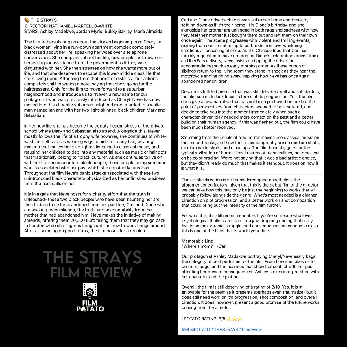 #THESTRAYS FILM REVIEW #FILMPOTATO