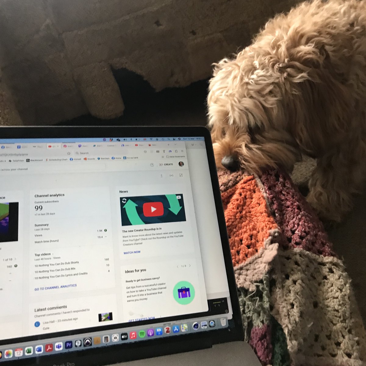 zag_t_music's tweet image. 99 subscriptions but the pooch ain't one (rather lame Jay-Z/Zag-T reference there). Anyone fancy pushing my YouTube subscriptions into three figures: youtube.com/channel/UCblXx…