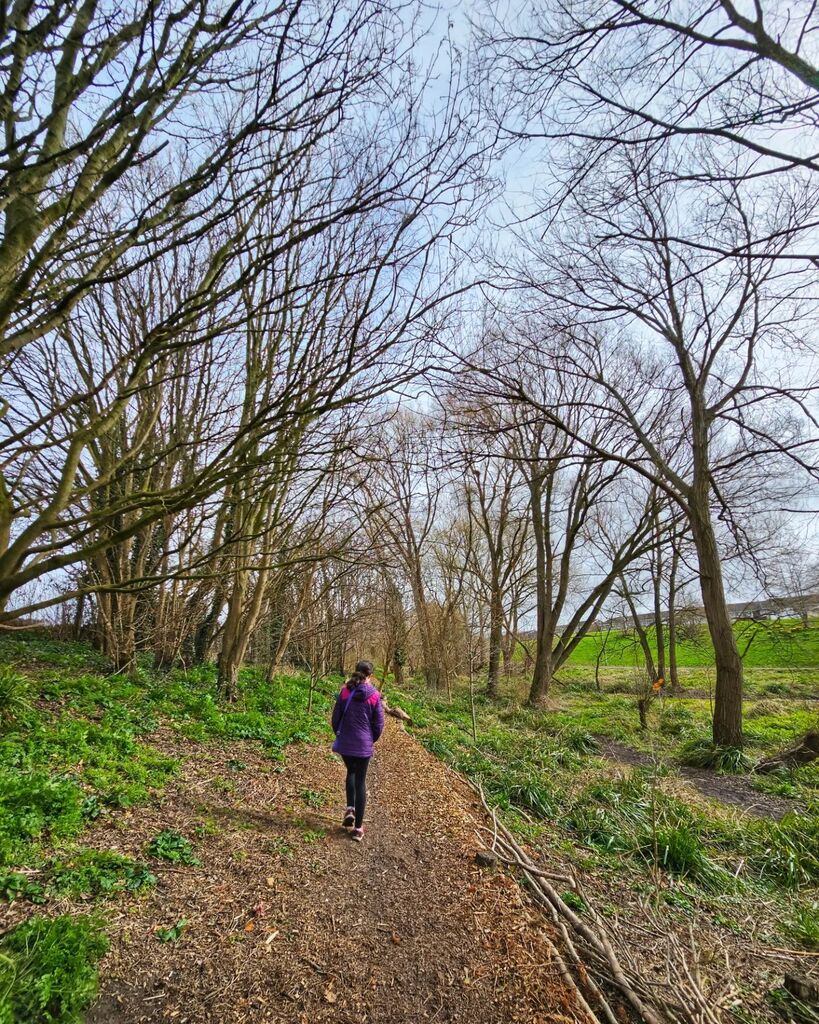 PoetNeininger's tweet photo. Walking between trees.

#Gloucester #Poet https://t.co/e7qP32GCnv https://t.co/Jq8pqAYCKj https://t.co/fmbUVJCMFB
