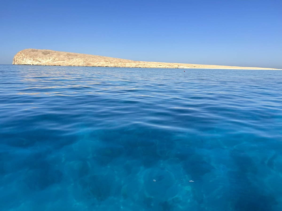 David J Suggett tweet media