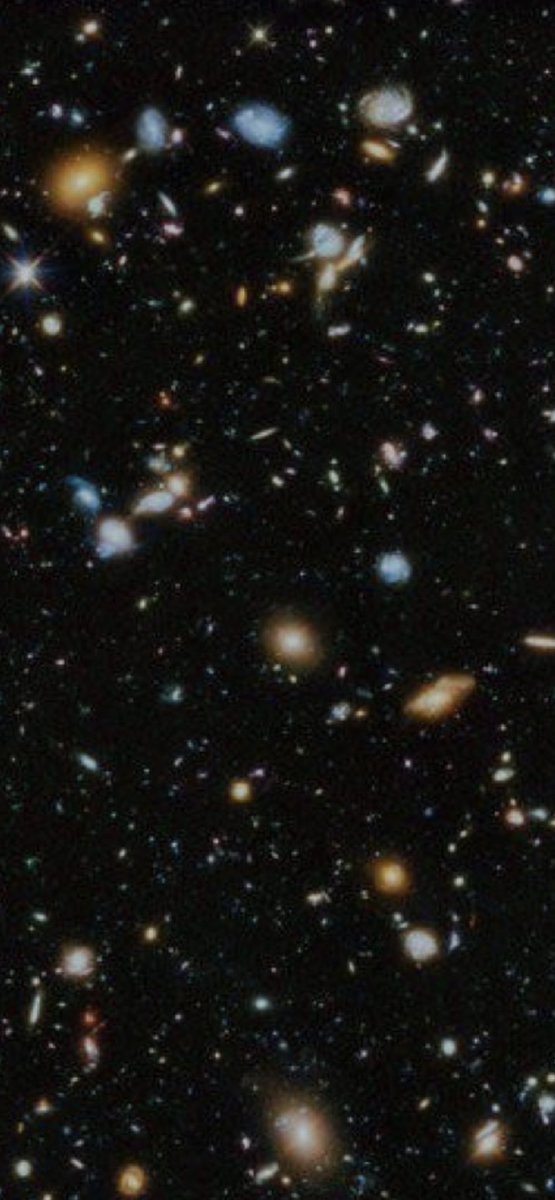 Cornelia tweet media