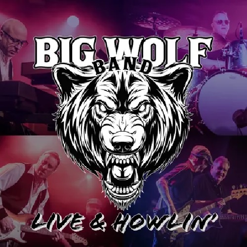 Music-News.com Live & Howlin' #BigWolgBand #LiveBlues - Live & Howlin' dlvr.it/SkmXdH