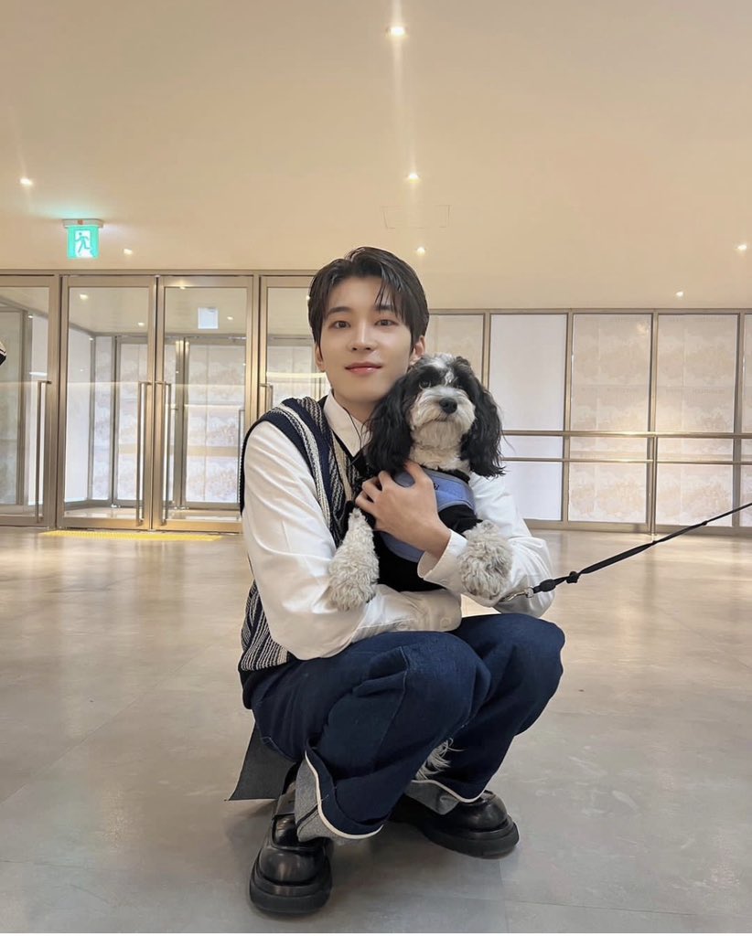 miwon17_'s tweet photo. Wonwoo: My dongsaeng Seol-ie
kcarats pointed out that since it's a family dog it's name is Jeon Seol 전설 (=legend) the name is legendary punny..🤣 remember when Wonwoo's bro became Jeon-bok=abalone..ㅋㅋㅋㅋ https://t.co/AKvOAnaELH