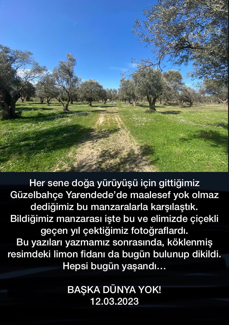 guldenoz35's tweet photo. https://t.co/OLagYpJJKb