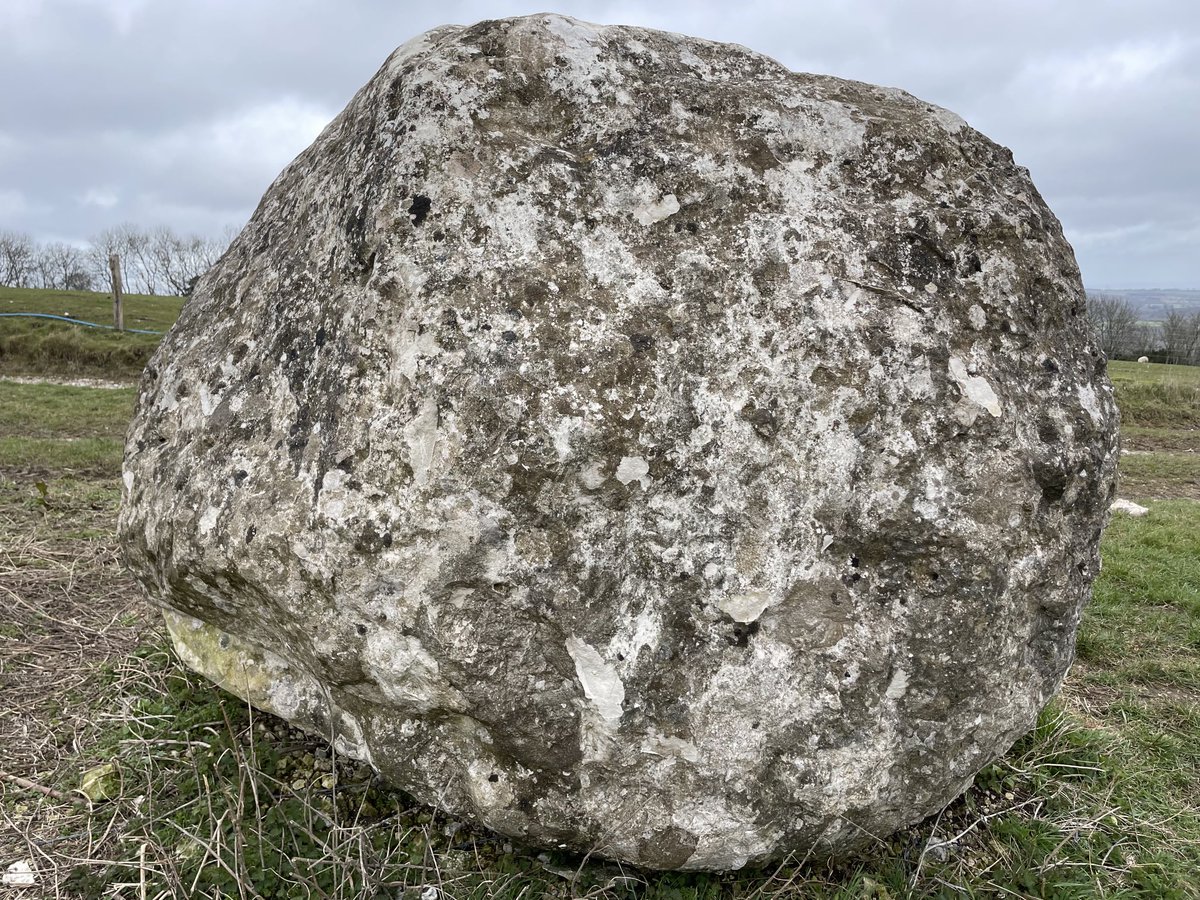 EmmaCameron9's tweet photo. An Andy Goldsworthy chalk boulder, ancient path with beech tree, hazel catkins, lime green moss. #WritingWalks @sdnpa @SussexWildlife https://t.co/rGq3aTLWdH