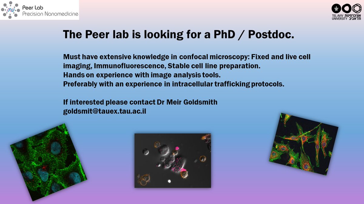 Looking for a superstar PhD/post-doc!