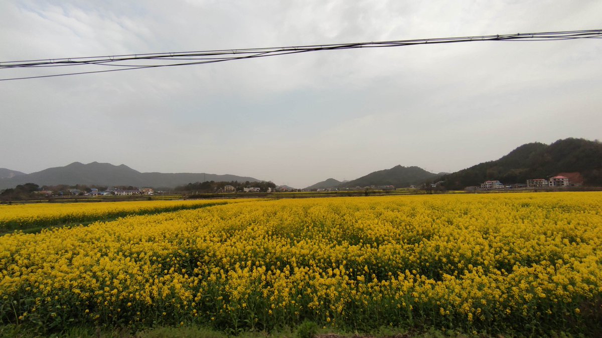 我在河边吹风 tweet media