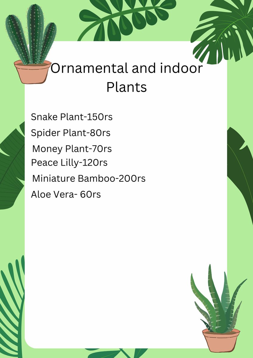 GardenLyfe1's tweet photo. Plants and There Prices 
for our first 10 costumers buy 1 get 1 free
contact us on Instagram @GardenLyfe1 
for more details check our website 
https://t.co/cIjoLjWBBh

medicinal plants
Tulsi-90rs
Aloevera-60rs
Thyme-70rs
RoseMary-70rs https://t.co/vxHwoLzd2o