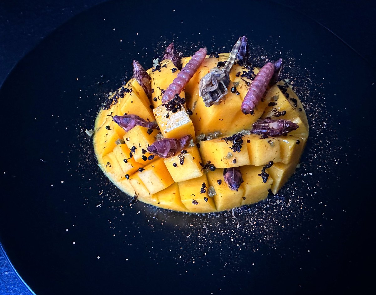 Is this mango better or worse with the both the flavor and textural additions of manchurian scorpion, black ants, chili grasshoppers, mezcal worms, gusano salt, and mint crystals?