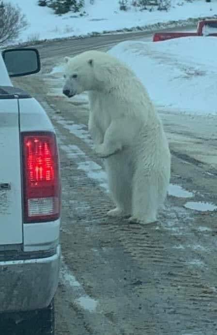 Manuel Hackett tweet media