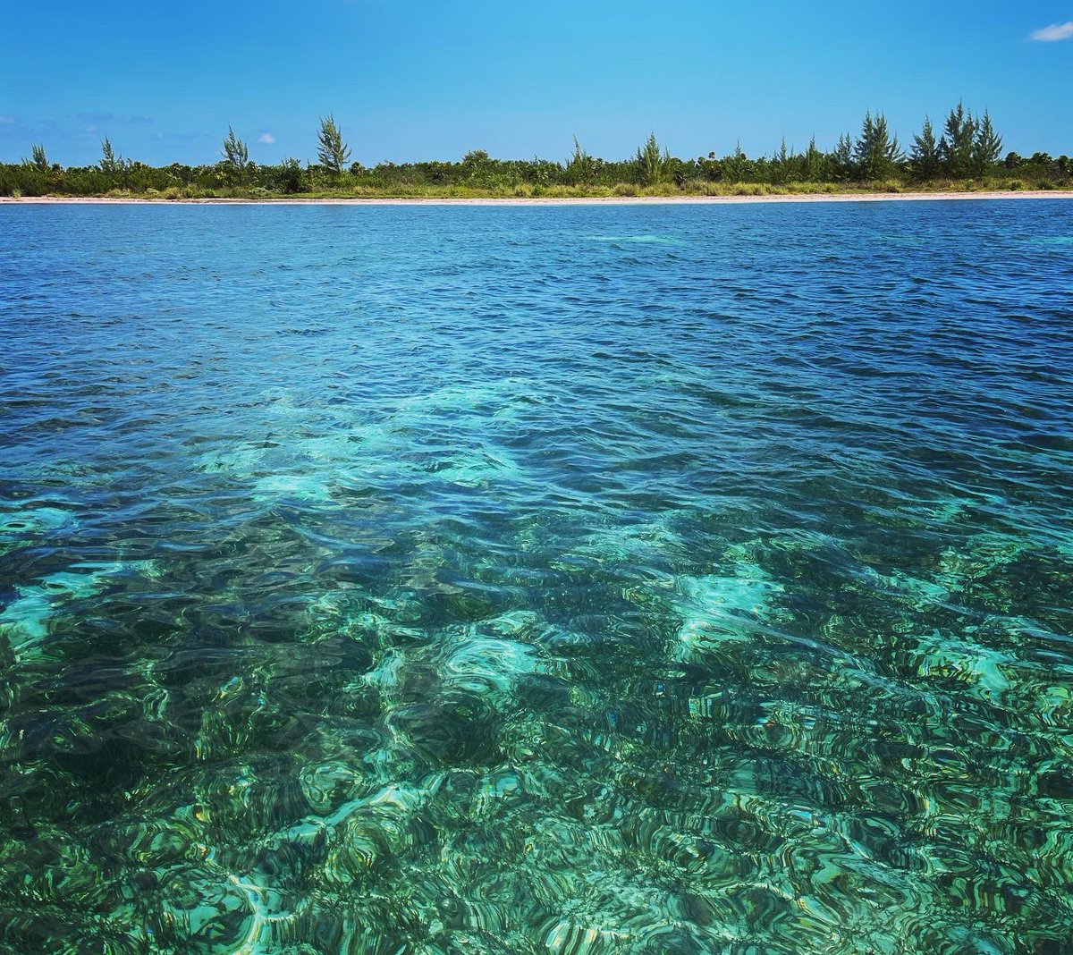 TwittPlaya's tweet photo. #cozumel #ElCielo tour con #exploratours https://t.co/VspKoltyjL