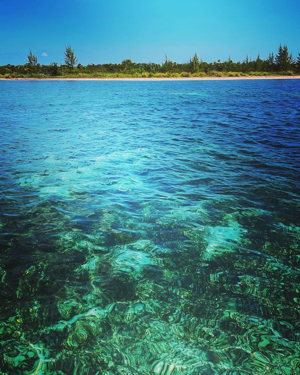 TwittPlaya's tweet photo. #cozumel #ElCielo tour con #exploratours https://t.co/VspKoltyjL