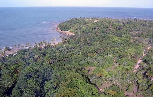 Área preservada da Mata Atlântica será ocupada por loteamento de luxo; projeto tem como sócios José Roberto Marinho e Armínio Fraga dlvr.it/SkmZ73 #BahiaNoticias