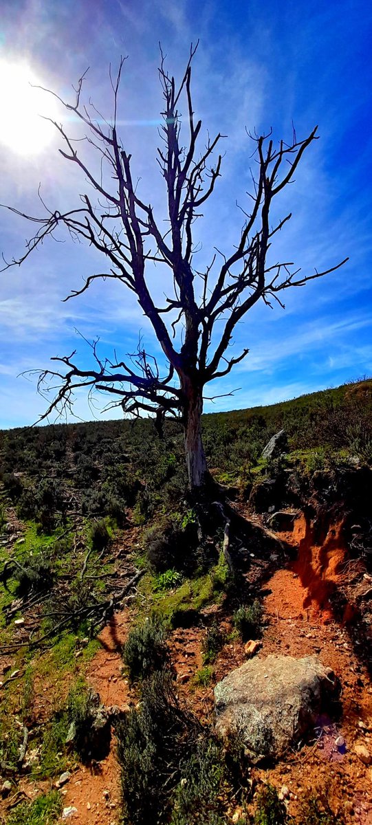 InfluencersVera's tweet photo. Pasión por la #naturaleza

#photography https://t.co/OhQdZMt9Sn