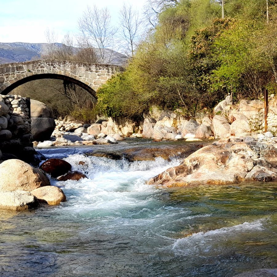 InfluencersVera's tweet photo. Primavera a la vista.

#photo https://t.co/0bKCAQPoXQ