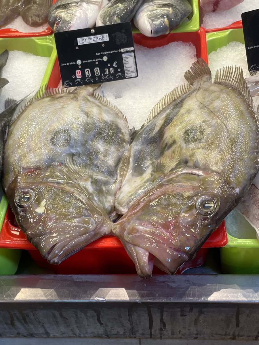 Mark Lautens OC tweet media