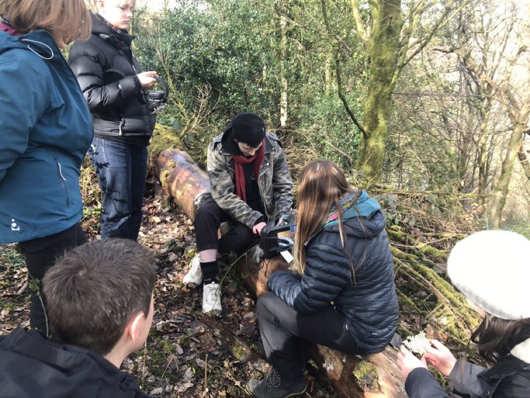 Soundcamp tweet media