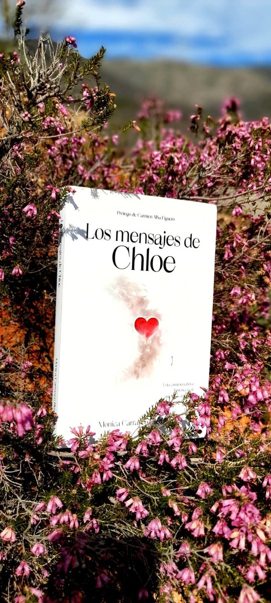 InfluencersVera's tweet photo. Los mensajes de Chloe.

#book https://t.co/NNSzeJnPK9
