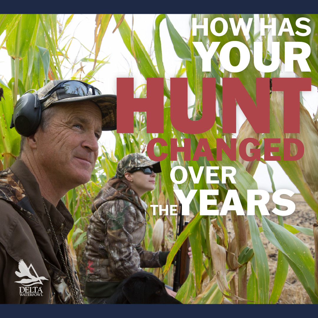 DeltaWaterfowl's tweet photo. Fill in the blank #DuckHunters! How have you evolved your hunting trips over the years? https://t.co/dufmDkd3NS
#DuckHunter #Hunting #HuntingSeason #WaterfowlSeason #GettingOld #GettingOlderandWiser https://t.co/pBHNMSMQyD