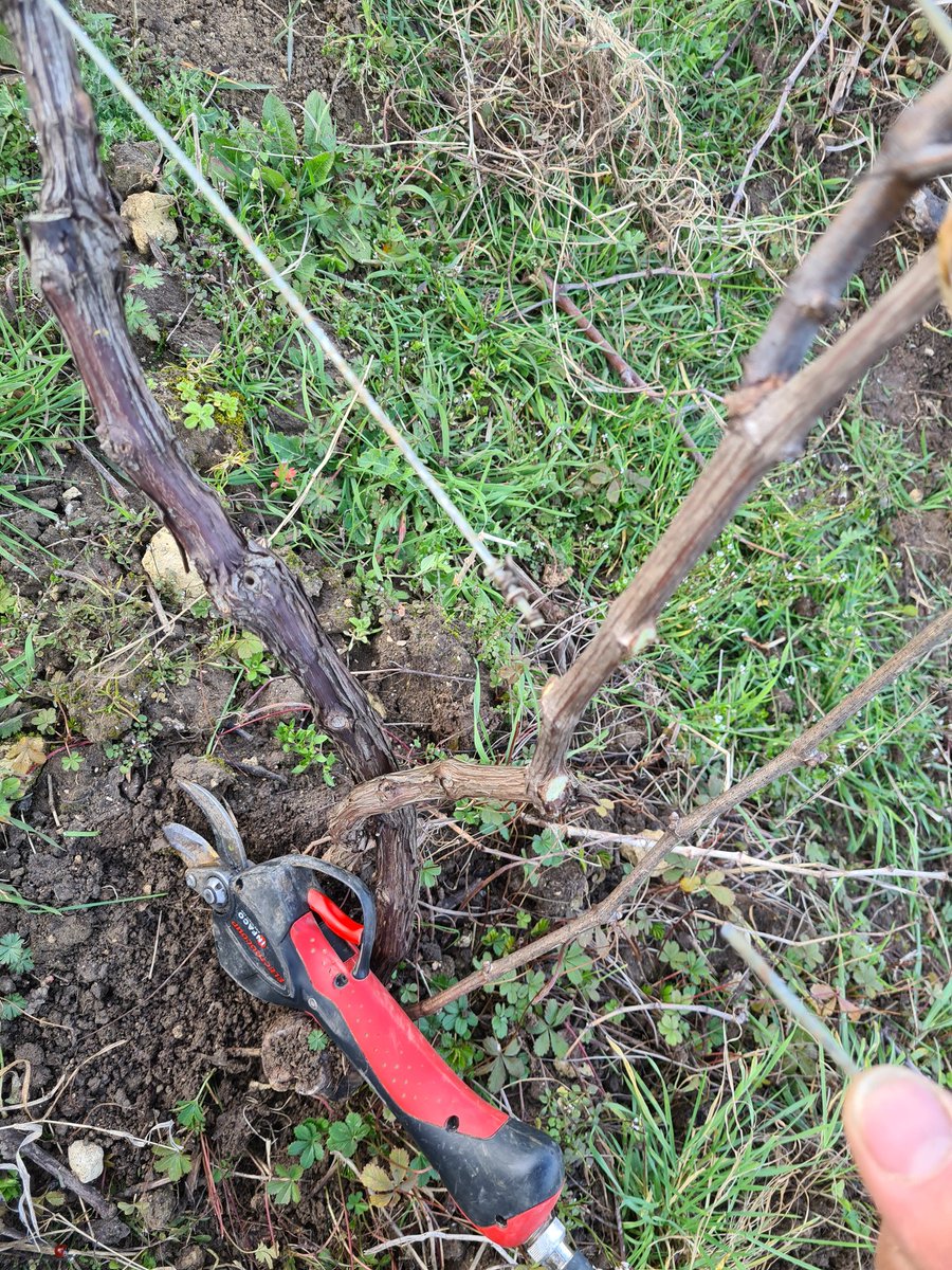 benoit51390's tweet image. 😡 Dernière montée ! 

✂️ #FilDeFer