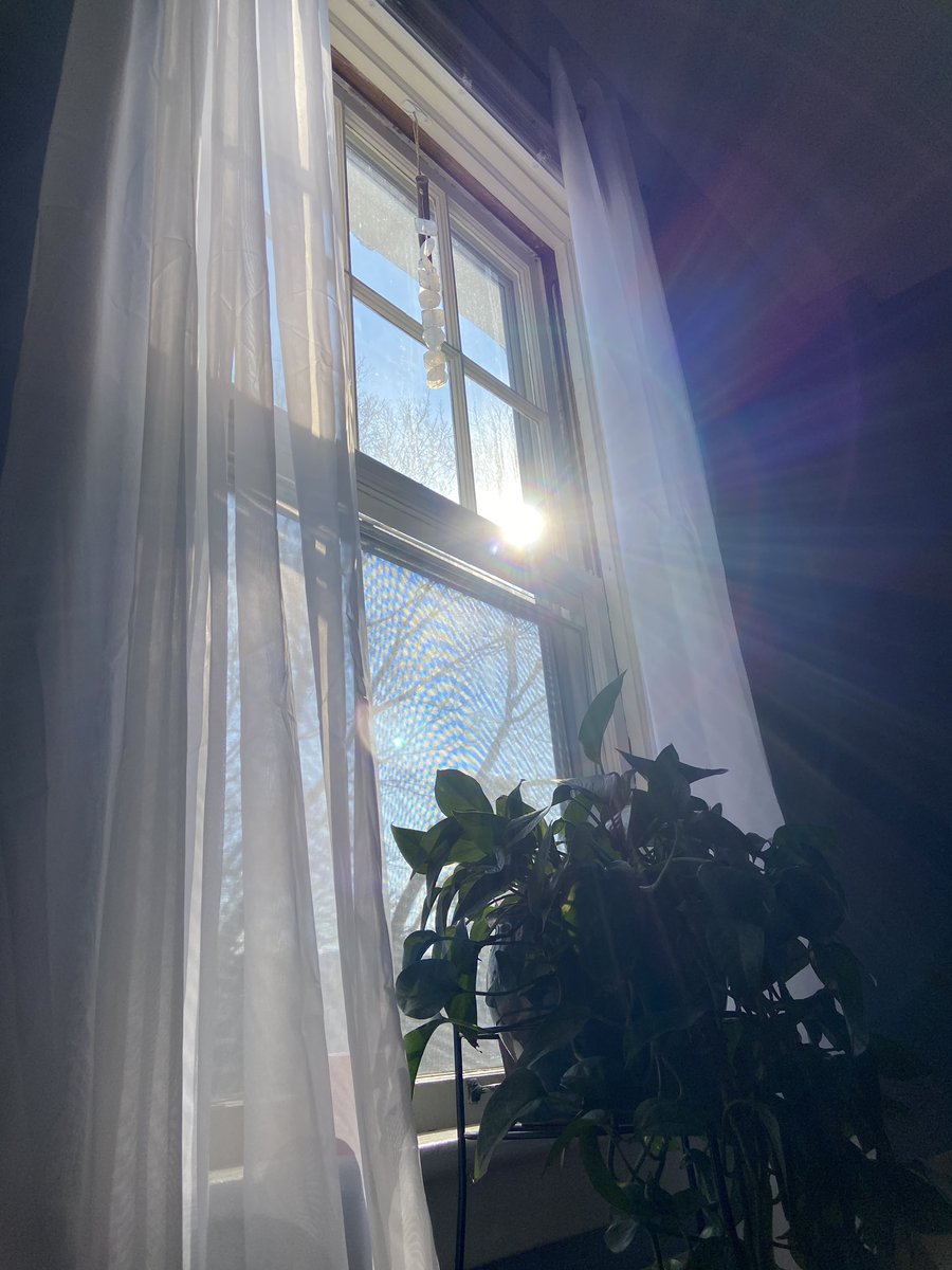 My view this morning that I cannot help but share, along with encouragement—If you woke up this morning, there is a purpose for you!   💙