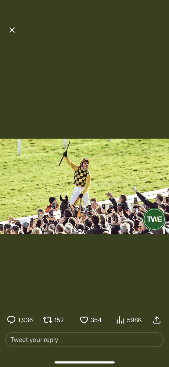 jack_mccormack_'s tweet photo. @TWEnclosure https://t.co/r77wl2ZfKm