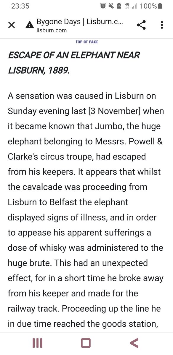SorchaEastwood's tweet photo. Who knew that in 1889, an Elephant 🐘 was living its best life in Lisburn! He broke free and went on a rampage, only to be found at Hulls Hill, but not before terrorising the town and having his tea of bread and jam at the Maze 😁😄 #FreeJumbo https://t.co/m0HUsgqG9W