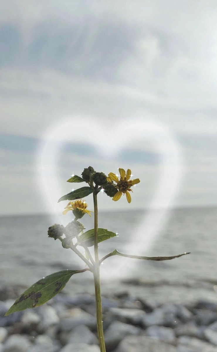 _sofearupenye's tweet image. cantik 🗺️