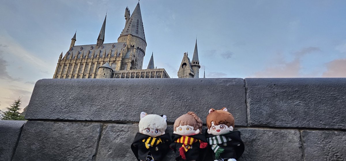 ririskongal2's tweet photo. 해질녘...🌅
#리리네솜 #리리네콩알이들
#리리여행
#돈돈찜 #김아미 #젤리홉
#방탄인형 #btsdoll
#지민인형 #jimindoll
#남준인형 #rmdoll
#호석인형 #jhopedoll https://t.co/bFvOwipM85