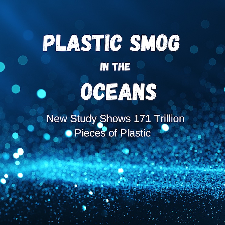 How much plastic is in the oceans? 
 
Answer: More than 170 trillion pieces, according to a new study published in early March 2023

esragplastics.org/how-much-plast…

#Rotary #esrag #esragplastics